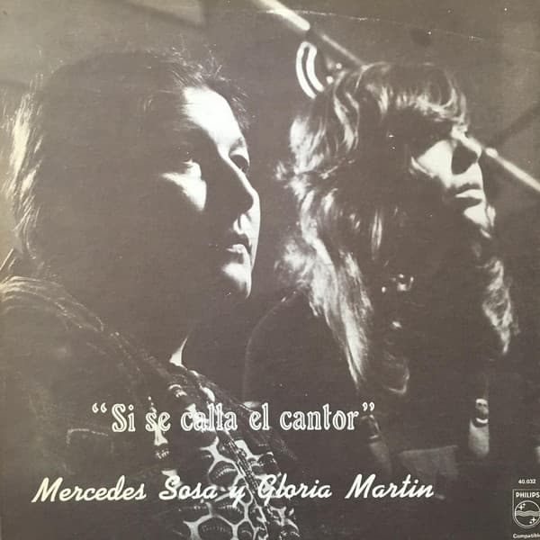 Vinyl Cover