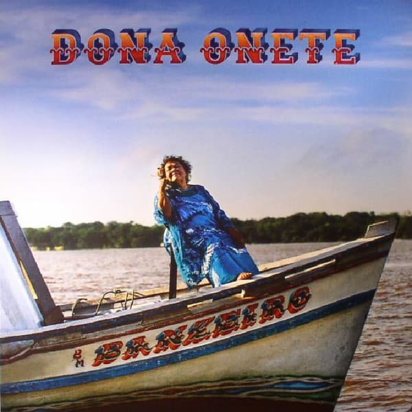 Vinyl Cover