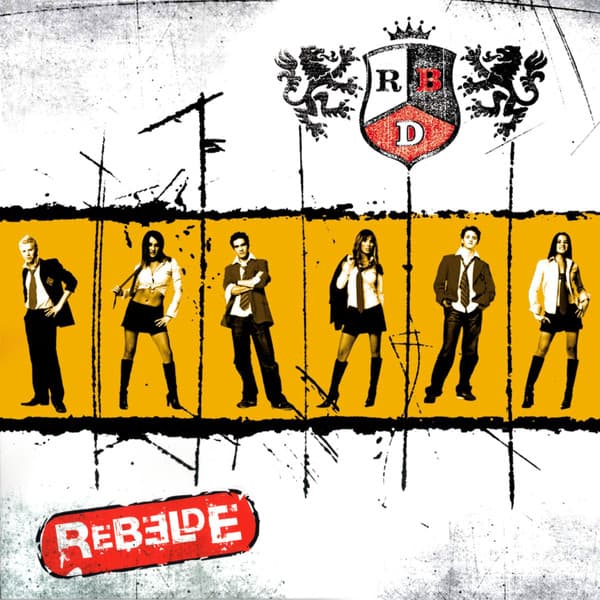 Vinyl Cover