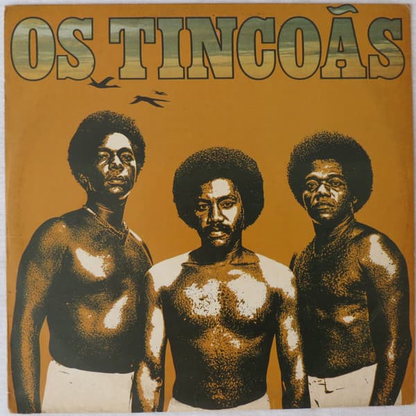 Vinyl Cover