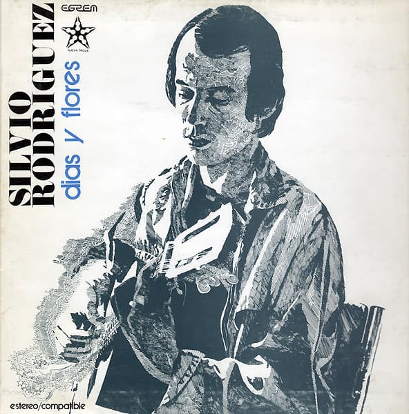 Vinyl Cover