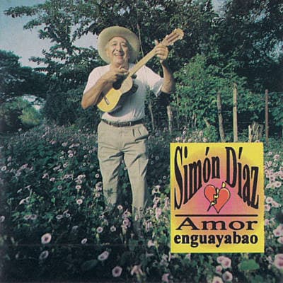 Vinyl Cover