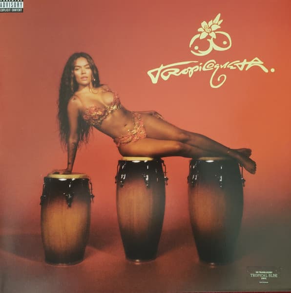 Vinyl Cover