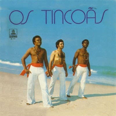 Vinyl Cover