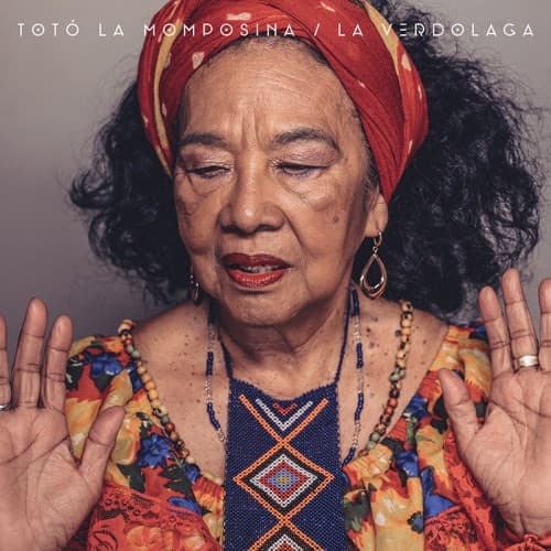 Vinyl Cover