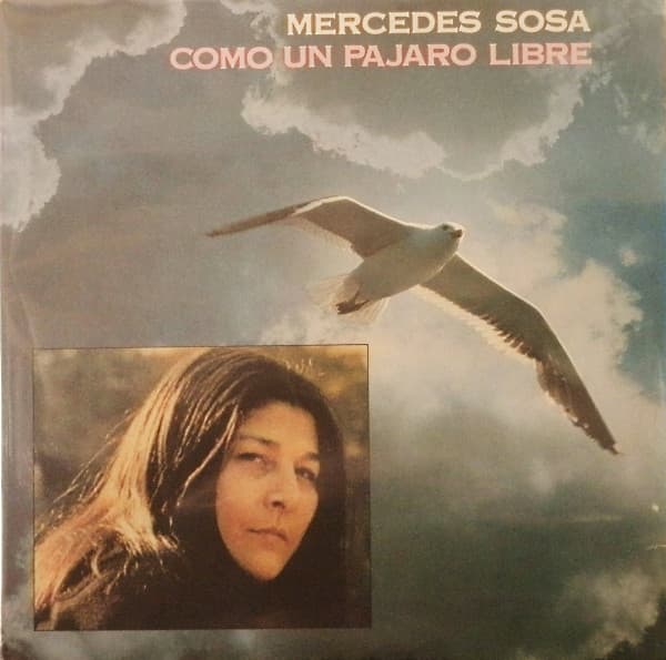 Vinyl Cover